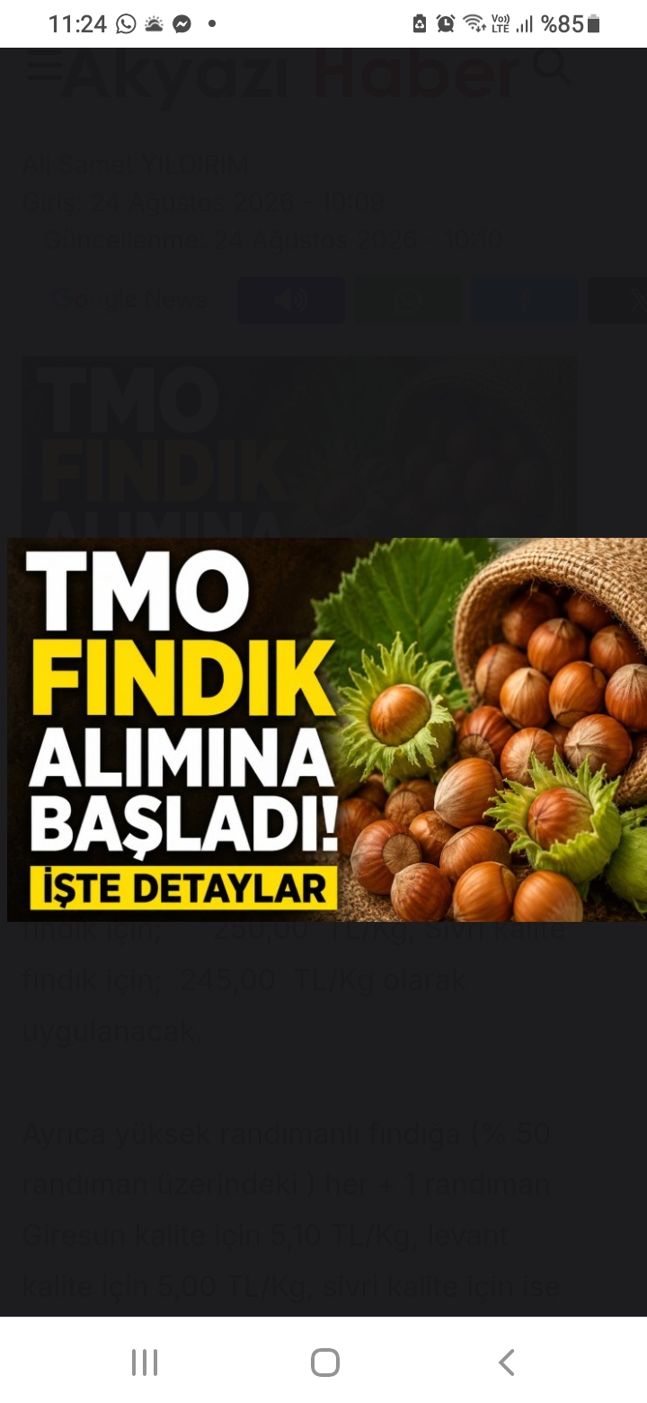 TMO FINDIK ALIMINA BAŞLADI 24.08.2026