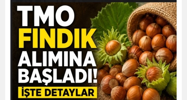 TMO FINDIK ALIMINA BAŞLADI 24.08.2026